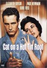 Cat on a hot tin roof